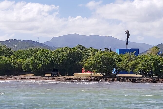 Transportation From San Juan to Ceiba Ferry or Airport - Service Overview