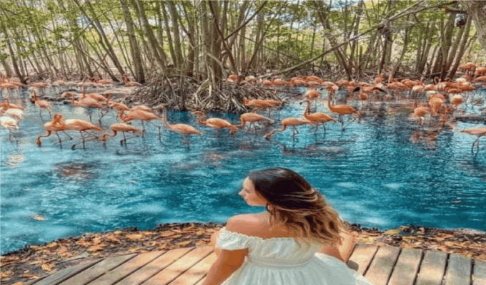 Transportation to AVIARIO and PLAYA BLANCA Private - Recap