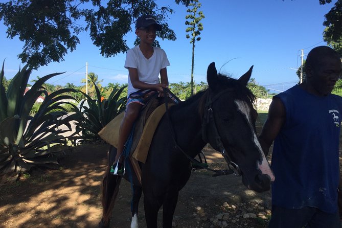 Transportation to Horse Back Ride & Swim Adventure From Ocho Rios - Transportation Details