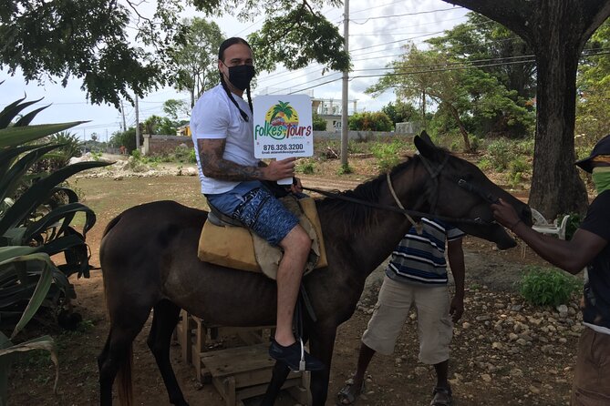 Transportation to Horse Back Ride & Swim Adventure From Ocho Rios - Customer Reviews