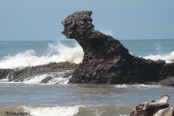 Transportation to Playa SUNZAL, ZONTE, EL TUNCO, ATAMI PALMARcito - Booking and Availability