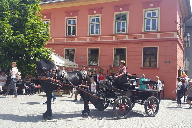 Transylvania 2 Days Tour Small Group - Included Experiences