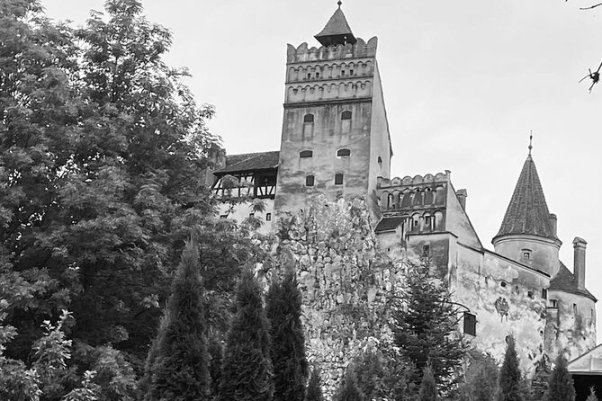 Transylvania and Draculas Castle, Brasov and Peles Castle From Bucharest - Highlights of the Itinerary