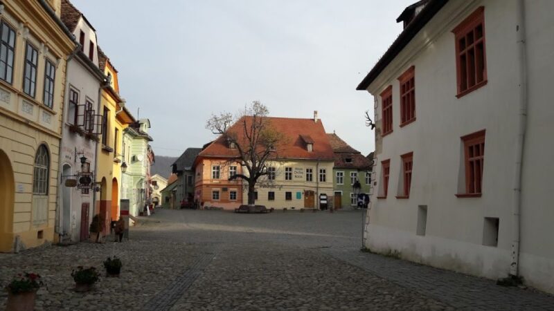 Transylvania: Draculas Castle and Birthplace Tour - Key Points
