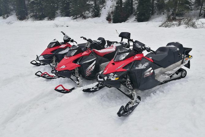 Transylvania, Draculas Castle & Fun With the Snowmobile or ATV Tour in One Day - Draculas Castle Visit