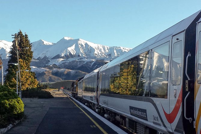 TranzAlpine Train Journey: Christchurch to Greymouth - Highlights of the Train Experience