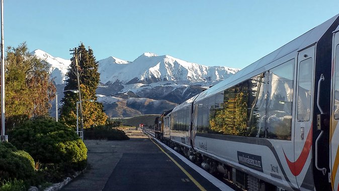 Tranzalpine Train Journey From Greymouth to Christchurch - Pricing and Booking Information