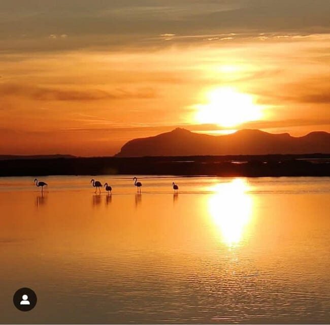 Trapani: Salt Pans Sunset Tour and Flamingo Way - Overview of the Trapani Salt Pans Sunset Tour