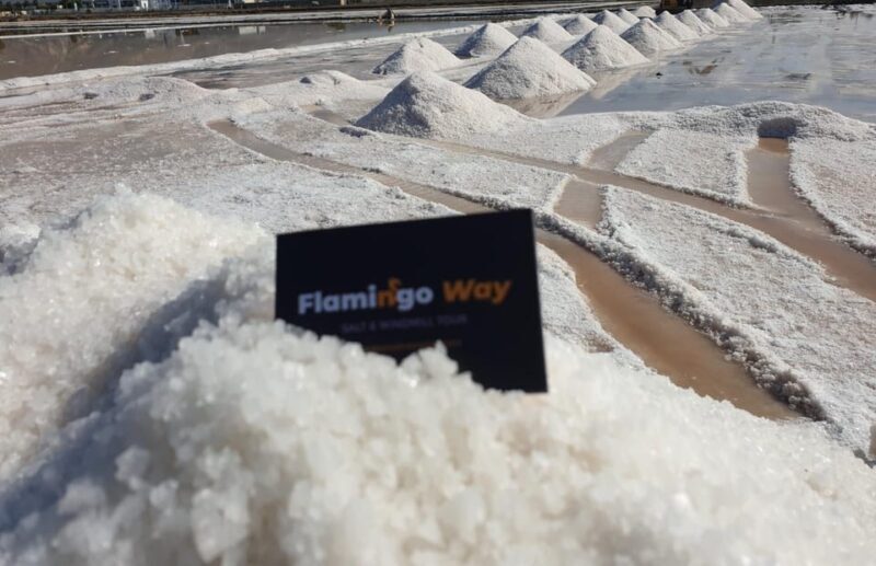 Trapani: Salt Pans Sunset Tour and Flamingo Way - Since Your Asked