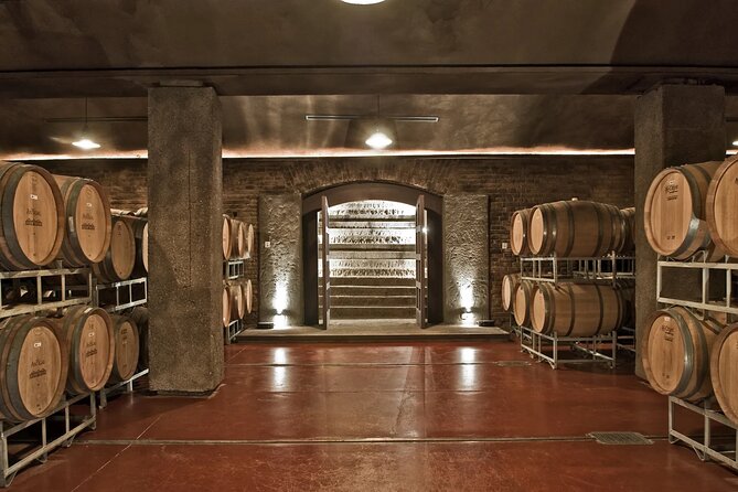 Trapiche Winery + Laur + Antigal Winery Lunch.Transfer Included - Inclusions
