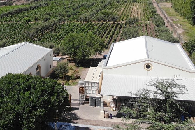 Trapiche Winery + Laur + Antigal Winery Lunch.Transfer Included - Trapiche Winery Experience