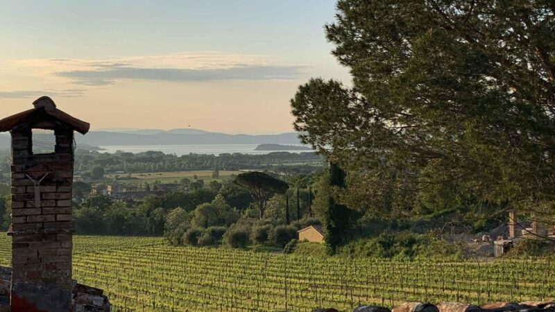 Trasimeno: Discovering Montemelino Wine Experience - Since Your Asked