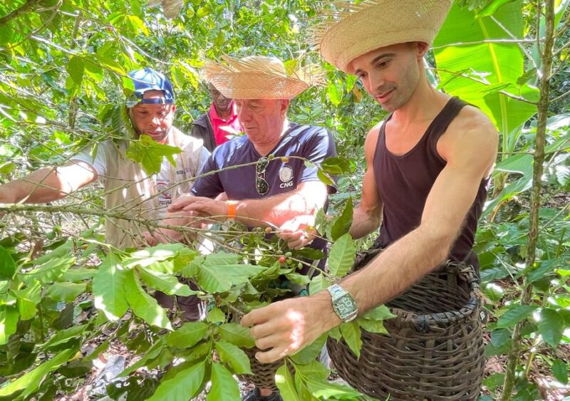 Travel Along the Coffee Route at Polo Barahona ALL INCLUSIVE - Itinerary Details