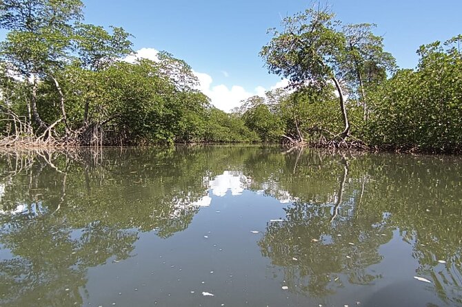 Travel Los Haitices National Park - Accessibility Considerations