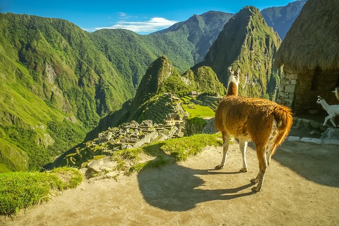 Travel to Machu Picchu - Itinerary Details