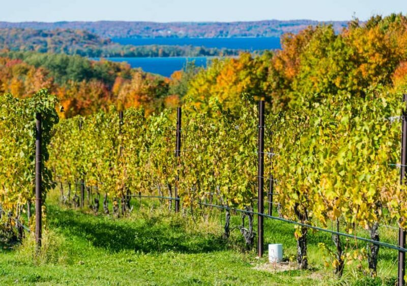 Traverse City: 5-Hour Old Mission Peninsula Wine Tour - Who Will Love This Tour?