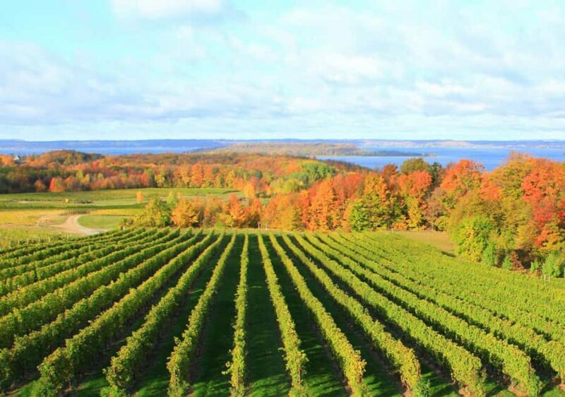 Traverse City: 5-Hour Old Mission Peninsula Wine Tour - Final Thoughts on Value and Experience