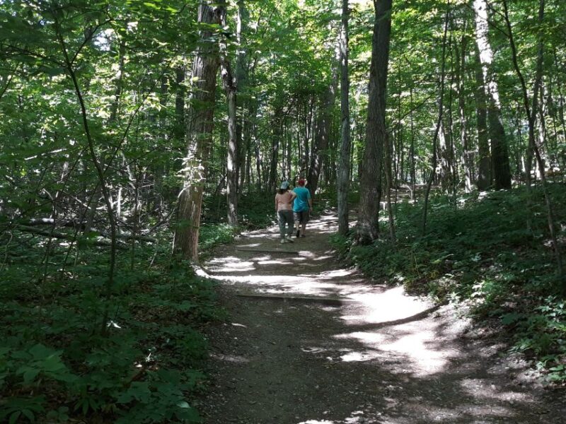 Traverse City: 6-Hour Tour of Sleeping Bear Dunes - Itinerary Highlights