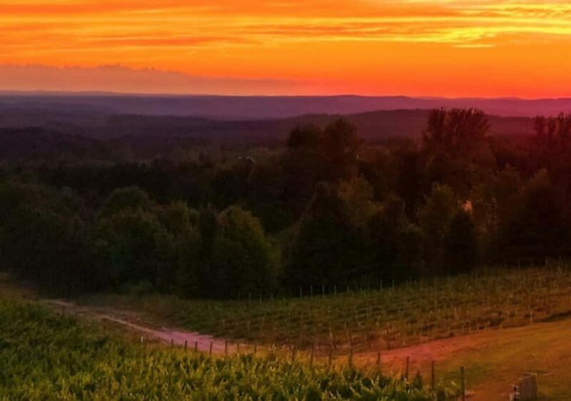 Traverse City: Old Mission Peninsula 4-Hour Sunset Wine Tour - Why This Tour Works for You