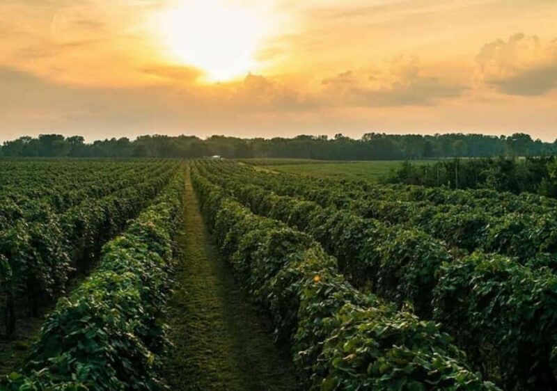 Traverse City: Old Mission Peninsula 4-Hour Sunset Wine Tour - FAQ About the Traverse City Old Mission Peninsula Sunset Wine Tour
