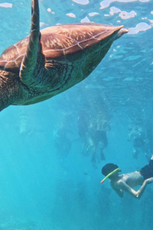 Trawangan: Snorkeling 3 Gili Islands By Glass Bottom Boat - Equipment and Inclusions