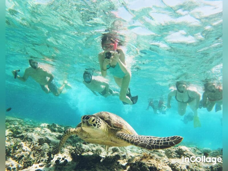Trawangan: Snorkeling 3 Gili Islands By Glass Bottom Boat - Meeting Point and Check-in