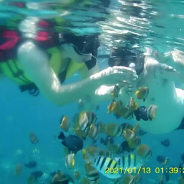 Trawling Fishing, Snorkeling & Candidasa Hidden Activities - Cooking Demonstration