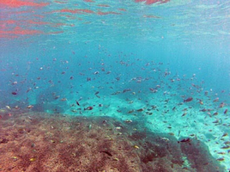 Trawling Fishing, Snorkeling & Candidasa Hidden Activities - Inclusions and Important Information