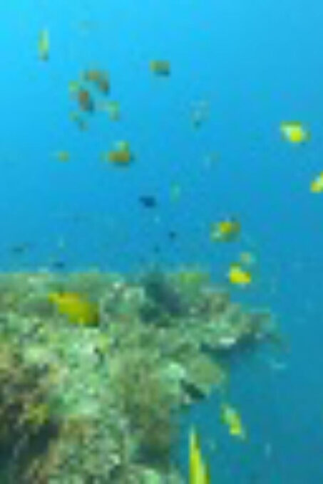 Trawling Fishing, Snorkeling & Candidasa Hidden Activities - Recommended Items