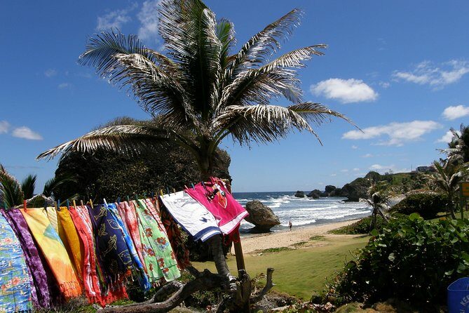 Treasures of Barbados Cave and Plantation Sightseeing Tour - Final Thoughts