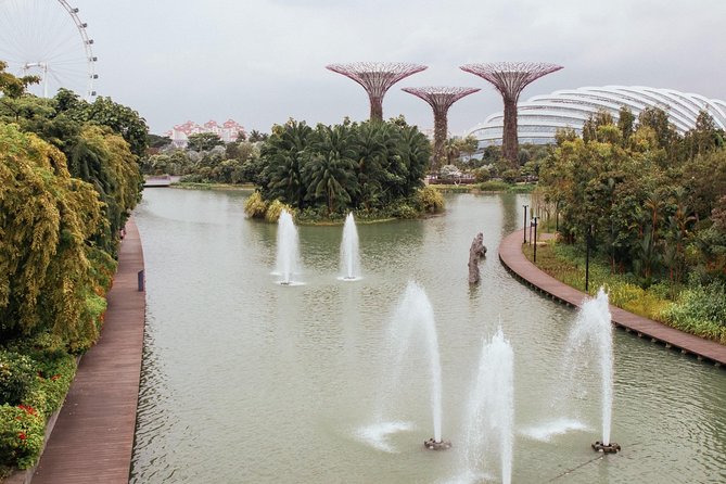 Treasures of Singapore: Gardens by the Bay Private Tour - Tour Highlights