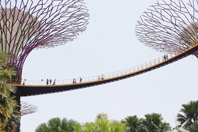 Treasures of Singapore: Gardens by the Bay Private Tour - Additional Details