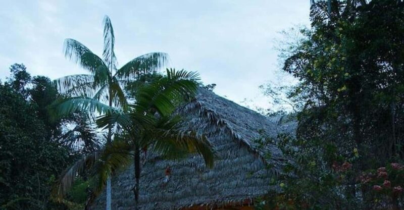 Treasures of the Amazon: Adventure and Tradition in Peru - Experience Highlights