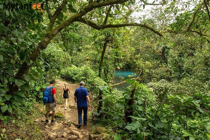 Treasures of the Rain Forest - Health and Safety Considerations