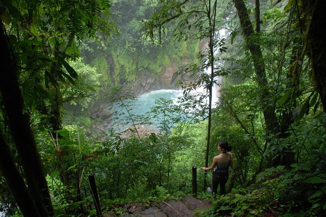 Treasures of the Rain Forest - Adventurous Exploration