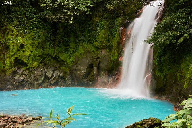 Treasures of the Rain Forest - Feedback and Ratings