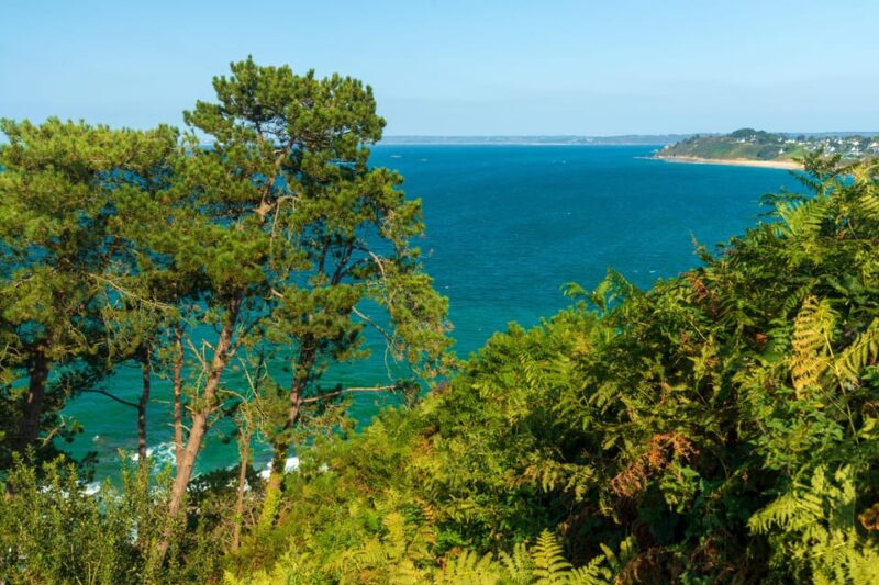 Trebeurden: Boat Tour in the Bay of Lannion - Key Points