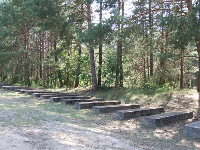 Treblinka: Half Day Tour From Warsaw by Private Car - Inclusions and Recommendations