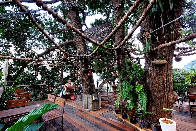 Tree Bridge Cafe And Zipline - Jungle Flight Adventure in Koh Samui - Included Amenities and Services