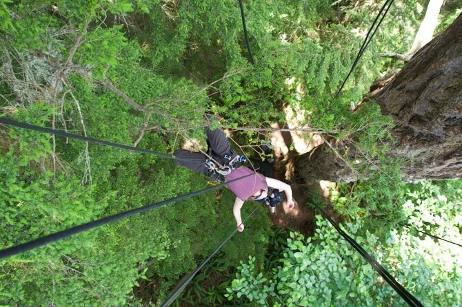 Tree Canopy Climbing on Lopez Island - Whats Included in the Tour