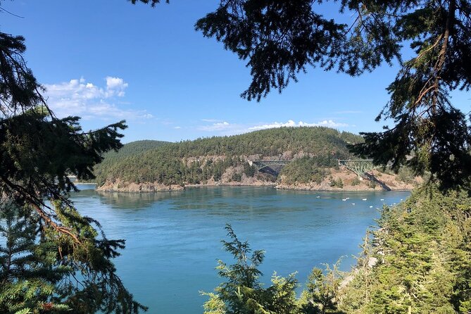 Tree Canopy Climbing on Lopez Island - Group Size and Duration