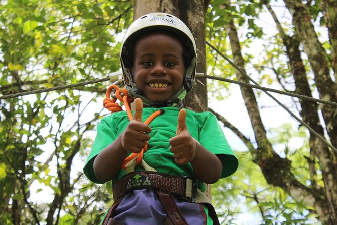 Tree Climbing Among the Araucarias - Key Points