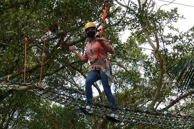 Tree Climbing Among the Araucarias - Exploring the Canopy Realm