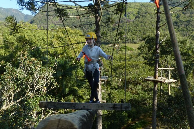Tree Climbing Among the Araucarias - Discovering the Araucaria Ecosystem