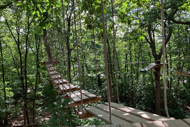 Tree Climbing Course in the Middle of the Forest in Saint-Germain-En-Laye - Key Points