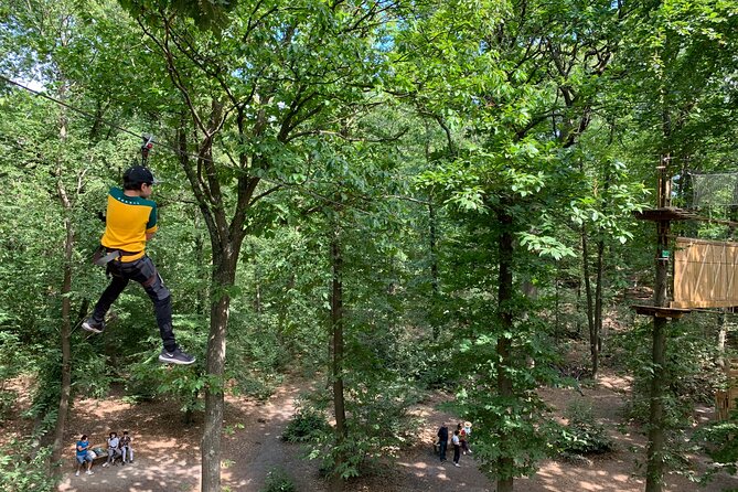 Tree Climbing Course in the Middle of the Forest in Saint-Germain-En-Laye - Safety and Equipment