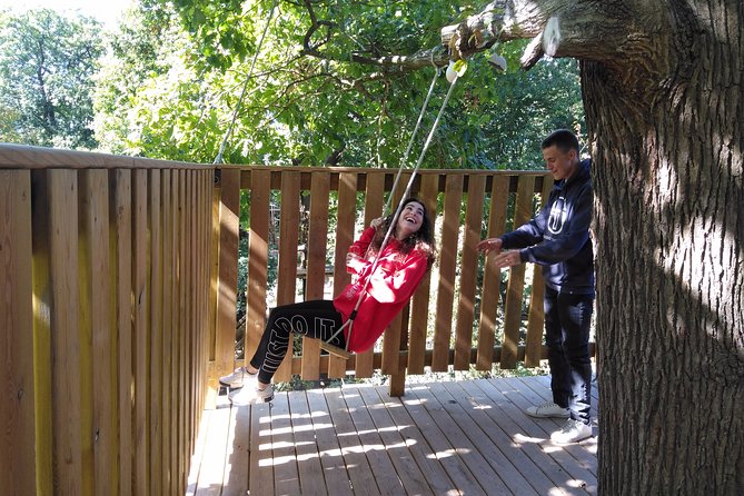 Tree Climbing Course in the Middle of the Forest in Saint-Germain-En-Laye - Amenities and Experiences