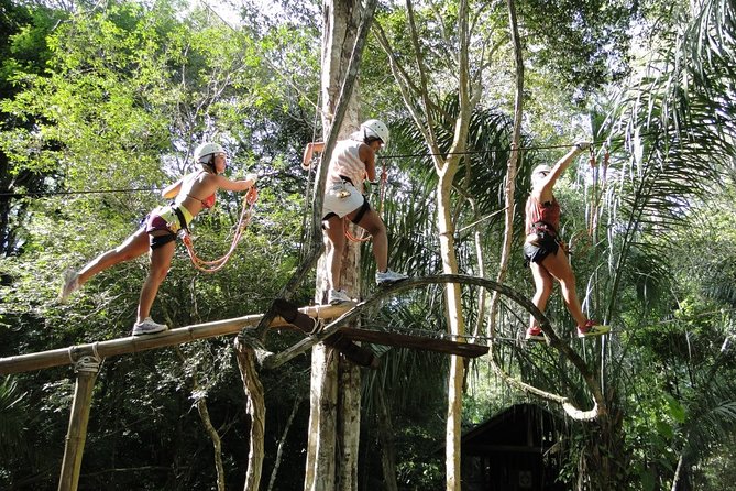 Tree Climbing In Bonito - Key Points