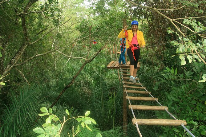 Tree Climbing In Bonito - Tour Highlights