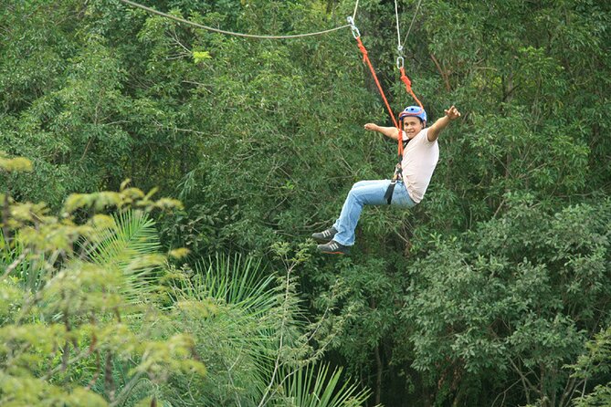 Tree Climbing In Bonito - Activity Difficulty Levels